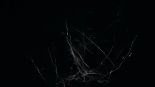 Neon Light Border | snow overlay | background video effects hd black screen | Background Loop