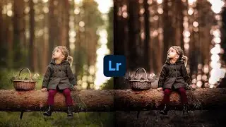 New Lightroom professional  dark cinematic colour tone #editzarmy #lightroom #editing #cinematic