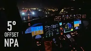 Crying Baby Tries To Mess Up My Landing 😂 Non-Precision 5 Deg Offset Night Approach