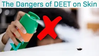 The Dangers of DEET In Bug Spray