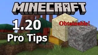 Minecraft 1.20 for Pros