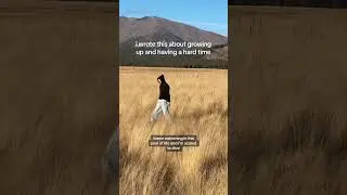 demo 