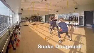 Snake Dodgeball