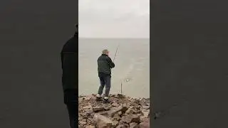 Рыбалка в дождь. Shorts