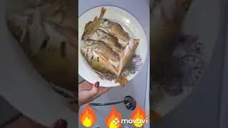 Уха из окуней, чайки, плотва, природа, рыбалка на озере в Ступино!