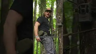 Tips for saving your trail cameras from getting stolen and bears