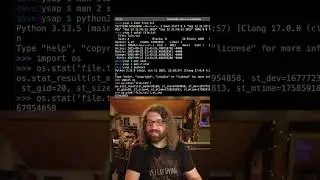 Accessing file metadata in other languages like python and node