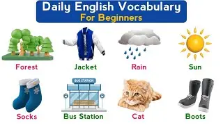 Daily English Vocabulary | Master Essential English Words for Beginners | Part 5