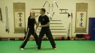 Kenpo Technique Demonstration #4