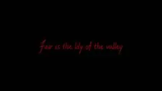 The High Kings - Red is the Rose (Lyrics)