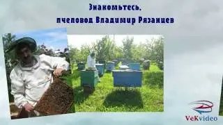 Пчёлы и продукция пчеловодства