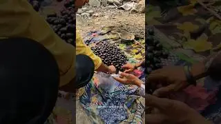 छत्तीसगढ़ के अनोखे फल काला फल और कोसम क्या आपने ये फल खाये हैं कमेंंट करें #shorts #cg #jamun