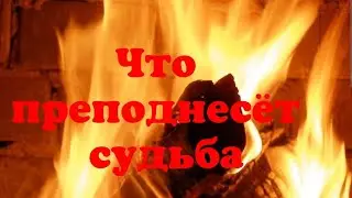 🍀💯🌞Что преподнесёт тебе судьба⁉️#онлайн #гадание....Гадание с Ириной....