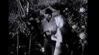 Psychopathia Sexualis aka On Her Bed of Roses (1966) Full Movie