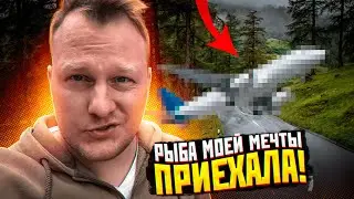 5 дней Адаской работы и рыба моей мечты.