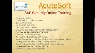 SAP Security Online Training