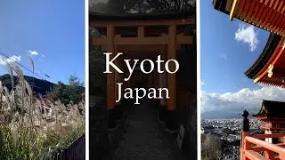 a trip to kyoto