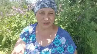 Помочь себе при боли  Ох уж эти люди