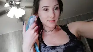 My Parrot Learned To Talk!!!!!!!! Officially A Talking Quaker Parrot