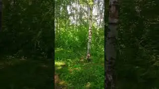 Восстановление сил и здоровья