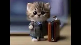 most random videos in the universe