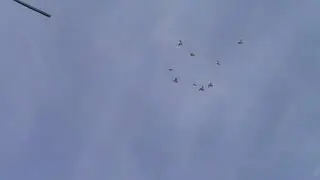 Пермские гривуны
