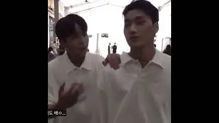 Choi brothers 