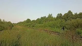 2М62У-0223 с пригородным поездом, перегон Вожой - Позимь