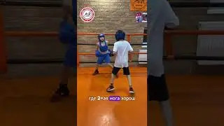 Борцовский бросок в боксе