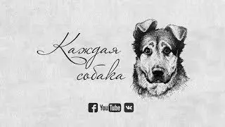 Every dog/