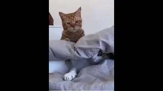 Ты нормально…