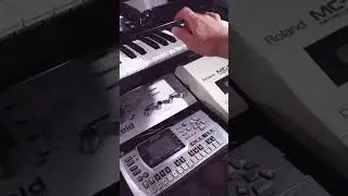 Looking for a substitution!!! By Yamaha qy100 sound! #synth #music #disco