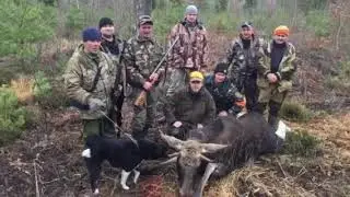 С ПОЛЕМ.  Правильным егерям посвящается
