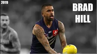 Brad Hill 2019 Highlight Reel