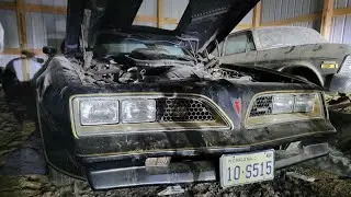 FOR SALE: (BARN FIND)1977 Trans Am SE Special Edition Stock (Low Mile Survivor)  #2037
