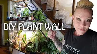 You know you are a Plantaholic when....