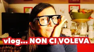 vlog STAVA ANDANDO TUTTO BENE e INVECE