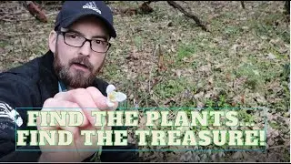 how to identify an old homesite by using plants