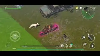 Last Day on Earth- Raid  Player Linearsearch