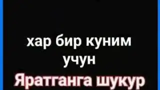 Хар бир куним учун Яратганга шукур