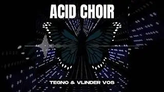 VLINDER VOS & TEGNO - ACID CHOIR