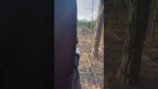 ARP 556 🔥🔥 #shootingshorts #arpistol #viral #trending #legallydangerous #gunlifestyle