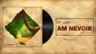Mr.Levy feat. FDD - Am Nevoie