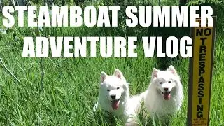 Puppies and Me: Summer Adventure in Steamboat, Colorado Vlog