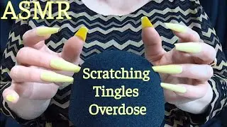ASMR Aggressive Scratching Overdose | Your Brain Will 100% Melt!