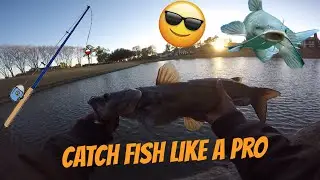 How to catch catfish and many other fish like a pro