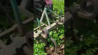 Окучивание картофеля чизелями. #самоделки #механик #shorts #potato #т25
