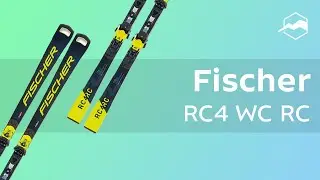 Горные лыжи Fischer RC4 WC RC. Обзор