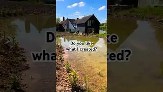 What do you think of this Wildlife Pond?