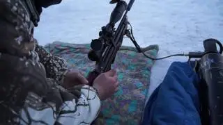 Новогодний отстрел полнотелок от Максима Чебулаева